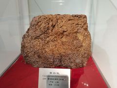 -上海昆虫博物馆