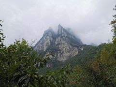 -鹿院坪生态旅游景区