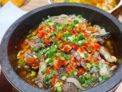 -高嗲嗲·现炒下饭菜(石鼓路店)