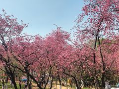 -昆明动物园