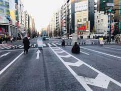 -秋叶原电器街