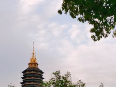 -红梅公园