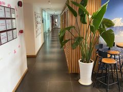 -樱花国际日语(徐家汇中心)