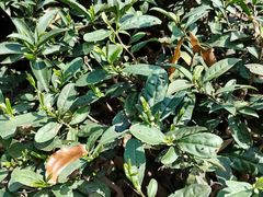 -敬亭山风景名胜区