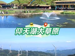 -仰天湖大草原
