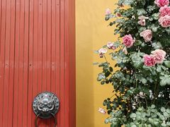 -龙华素斋(龙华路店)