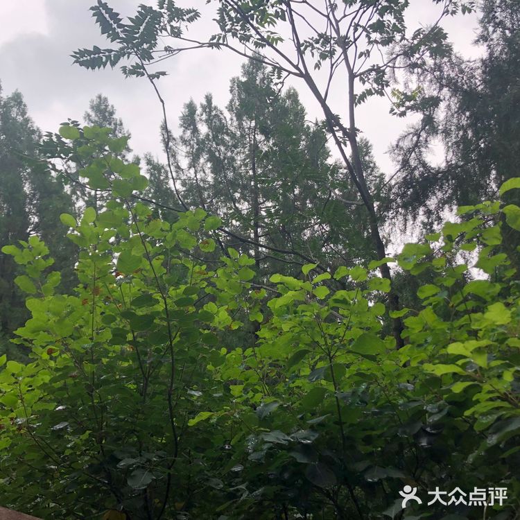 雁栖湖好风光