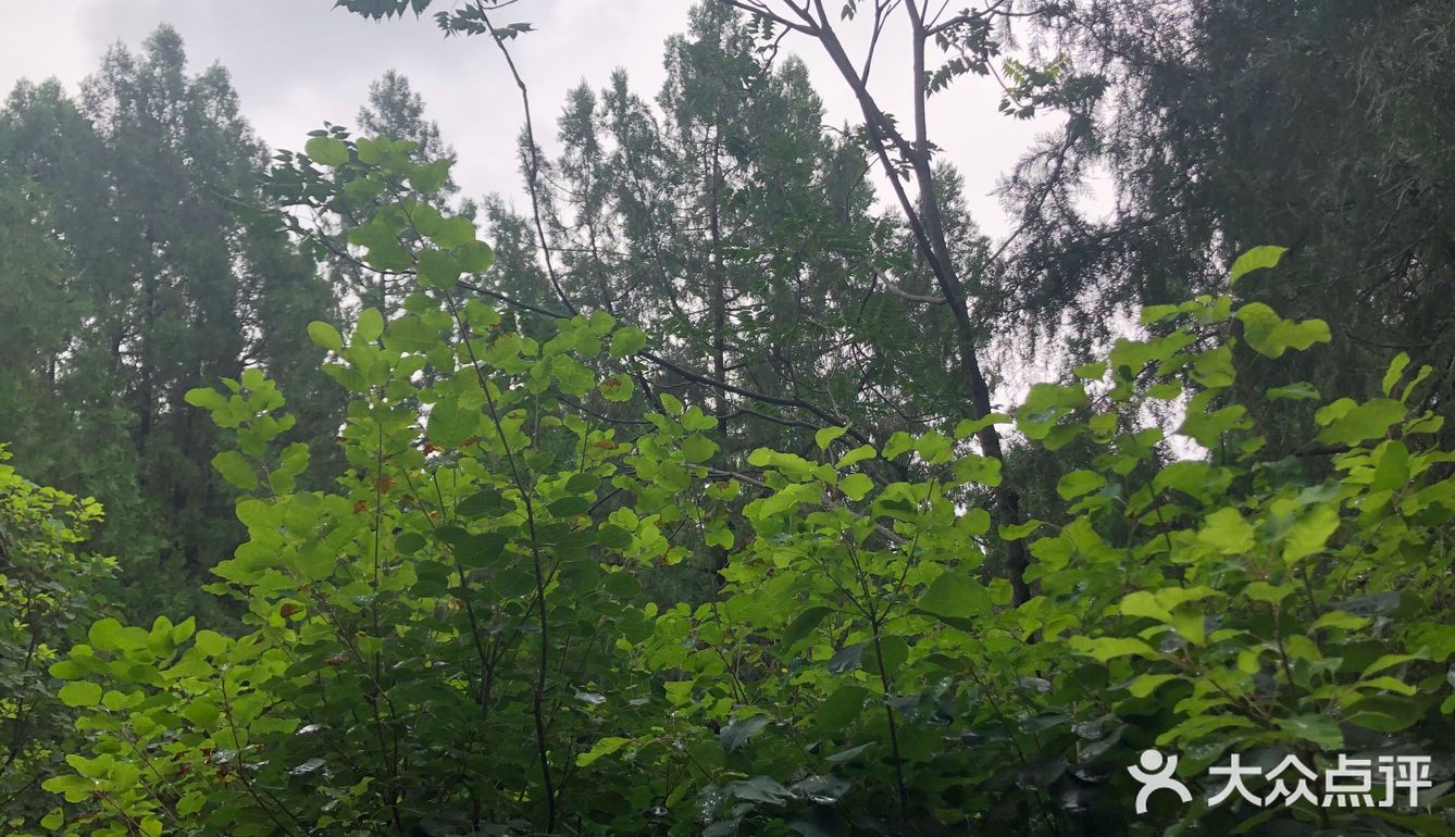 雁栖湖好风光