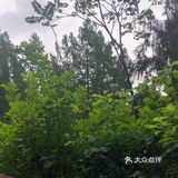 雁栖湖好风光