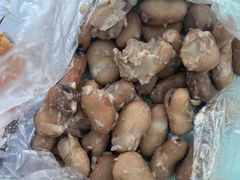 -洪湖里王姐大乌豆