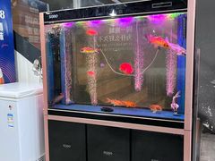 -老杨头烧烤(博烤堂店)