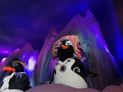 -帝企鹅自助餐厅•儿童岛•真企鹅(长隆企鹅酒店)