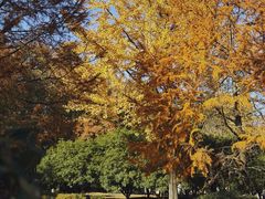 -白塘生态植物园