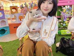 -天虹购物中心(石路店)