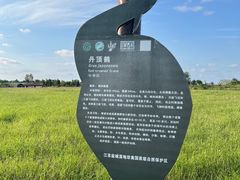 -盐城丹顶鹤湿地生态旅游区