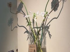 -BOCATA 西班牙餐厅(三里屯店)