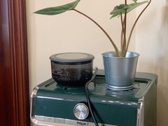 -SAFARI COFFEE