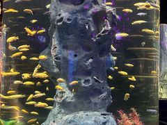 -福州罗源湾海洋世界旅游区