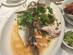 -大荣华酒楼(元朗老店)