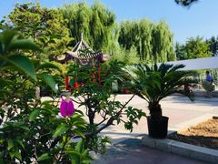-燕郊植物园