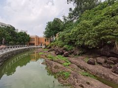 -广州七星岗古海岸遗址科学公园