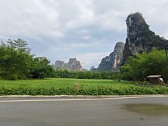 -明仕田园