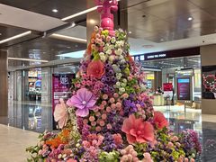 -金穗-老荣成·荣成菜
