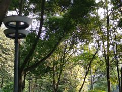 -成都市活水公园