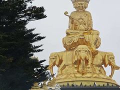 -大众跷脚牛肉馆·非遗传承单位(峨眉山店)