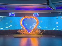 -合肥海洋世界