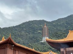 -深圳仙湖植物园