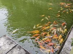 -中山市树木园