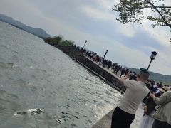 -西湖游船