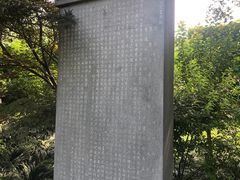 -亭林公园