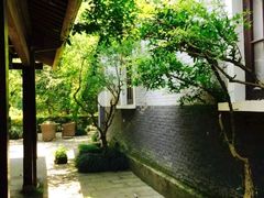 -嘉龙茶庄