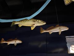 -同济大学四平路校区深海探索馆