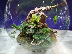 -海尔世界家电博物馆
