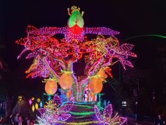 -濠轩阁特色生蚝火锅总店