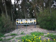 -大京沙滩