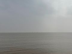 -碧海金沙