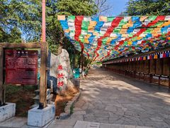-云南民族村