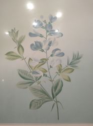 -颜蕾医美·黄金微针·水光·玻尿酸·超声炮·抗衰中心
