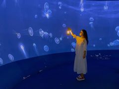 -江和美海洋公园