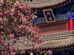 -西安市广仁寺