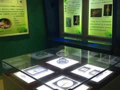 -上海昆虫博物馆