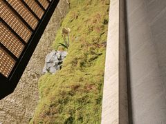 -大蓉和(双楠店)