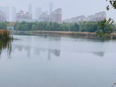 -武汉园博园(武汉自然博物馆)