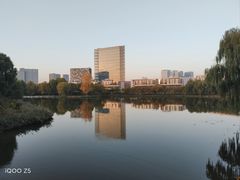 -大兴滨河森林公园