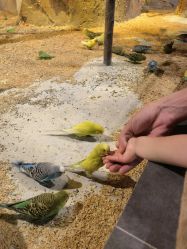 -酷嗒动物文化乐园(cutezoo西溪乐天城店)