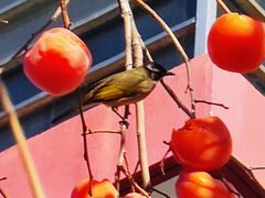 -东亿天弘演播大厅